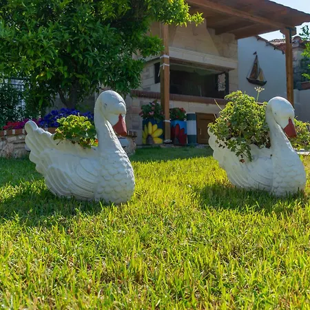 Di Pietra * Άφυτος